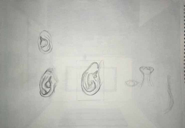 Portrait Details — plate 6
