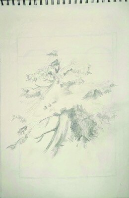 Lala Mustafa Pasha — plate 5