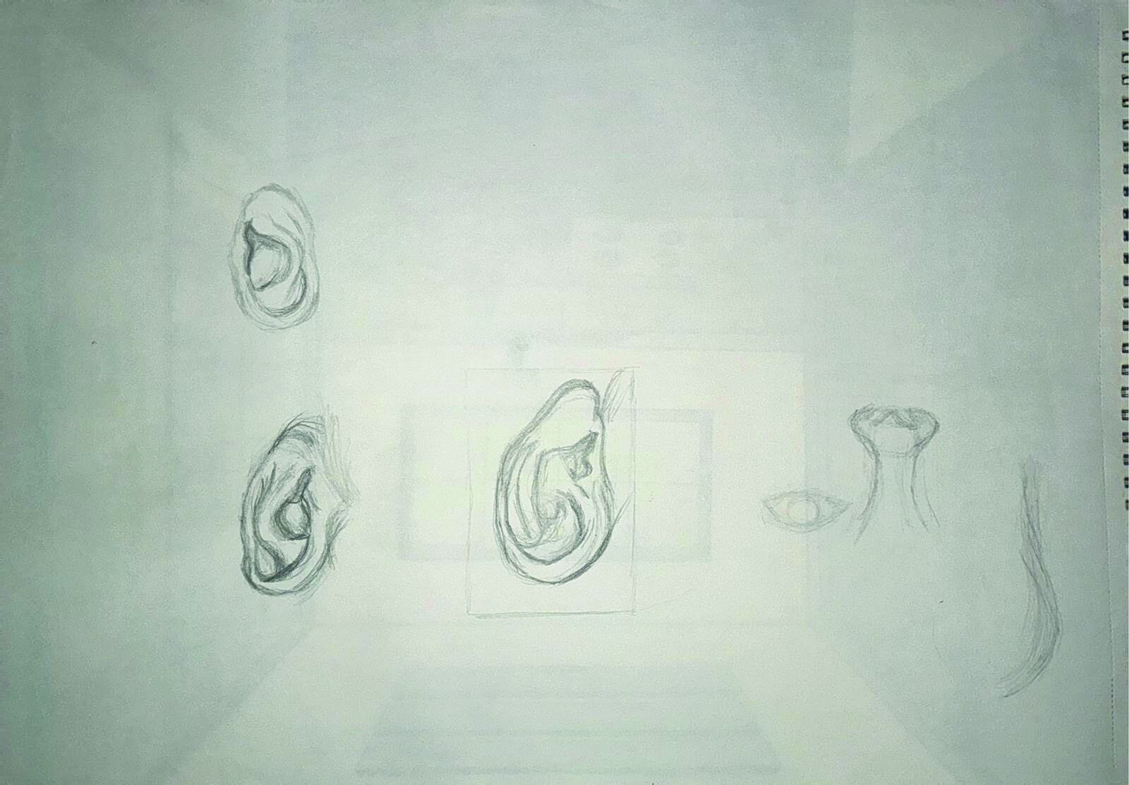 Portrait Details — plate 1