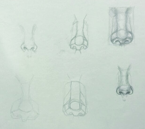 Portrait Details — plate 6